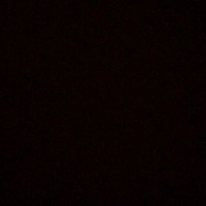 Meet your Posher, Benjamin